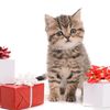 Gothamist's Great Big Handy Holiday Gift Guide